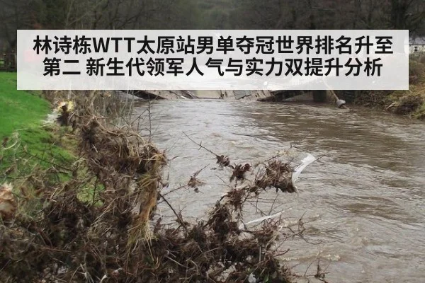 林诗栋WTT太原站男单夺冠世界排名升至第二 新生代领军人气与实力双提升分析