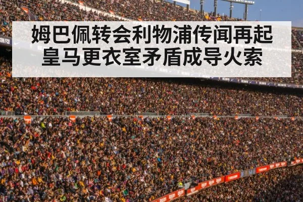 football stadium crowd